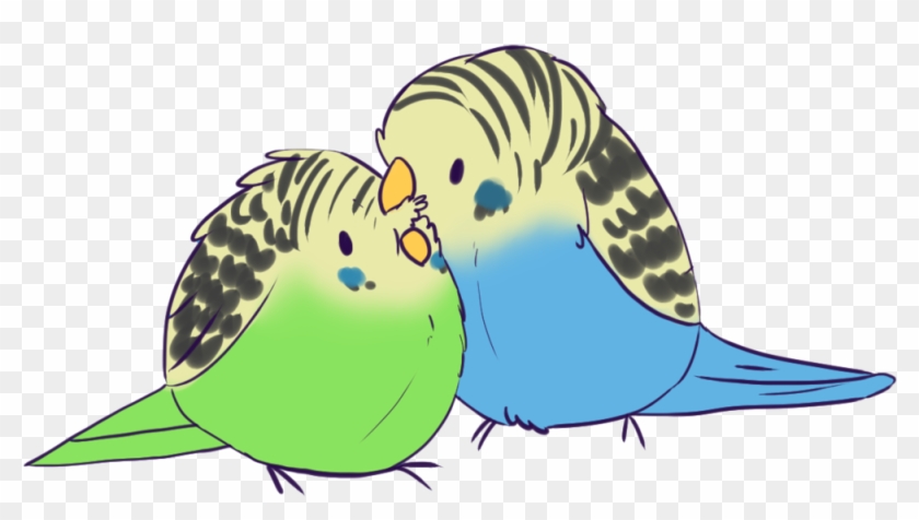 Pics For > Cute Parakeet Drawing - Cute Parakeet Drawing #579701