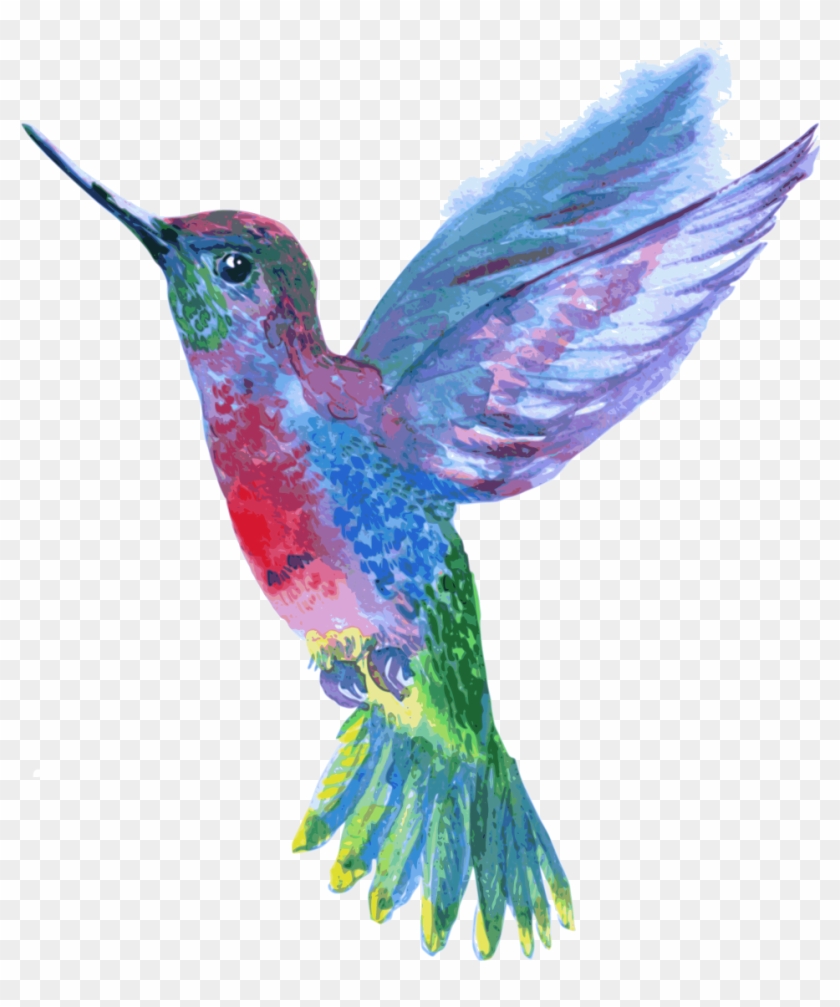 8706 Hummingbird Sketch Images Stock Photos  Vectors  Shutterstock