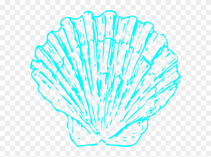 Shell Clipart Aqua Pencil And In Color Shell Clipart - Sea Shell Transparent #579828