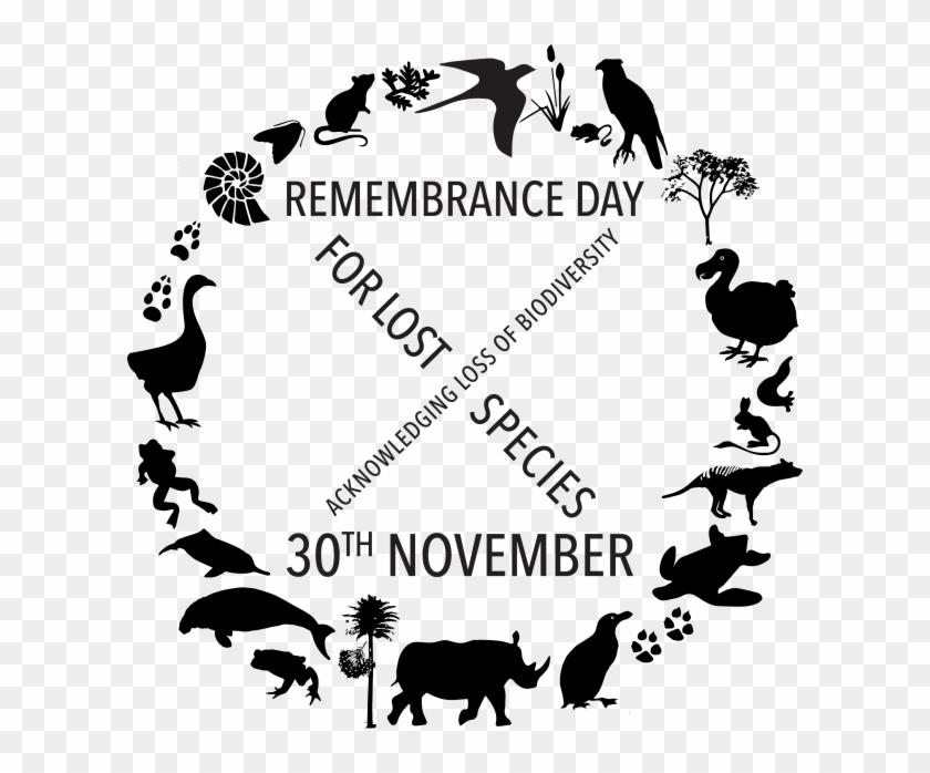 Lost Species Day Logo Designed By Julia Peddie - Remembrance Day For Lost Species #580015