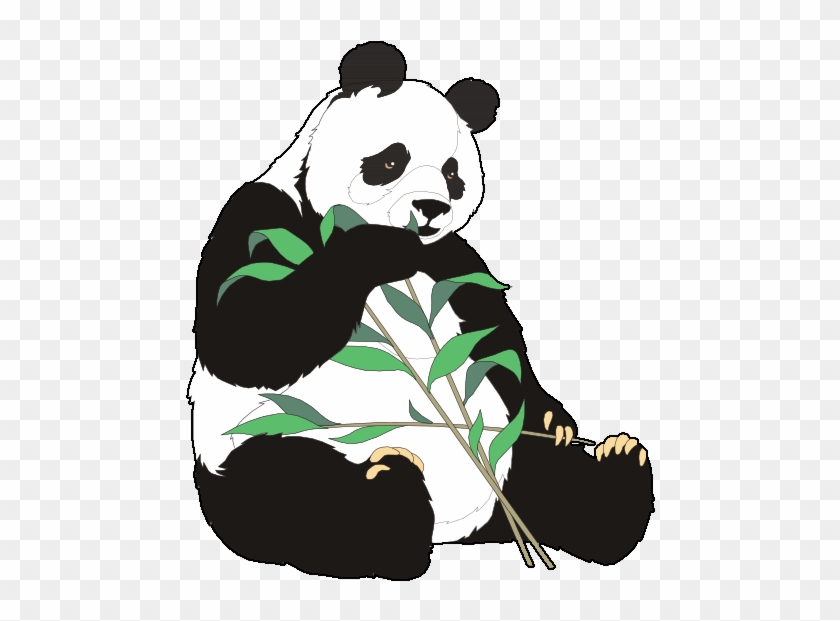 1000 Images About Panda Cuties ♥✳♥ On Pinterest - Diagram Of Panda #580043
