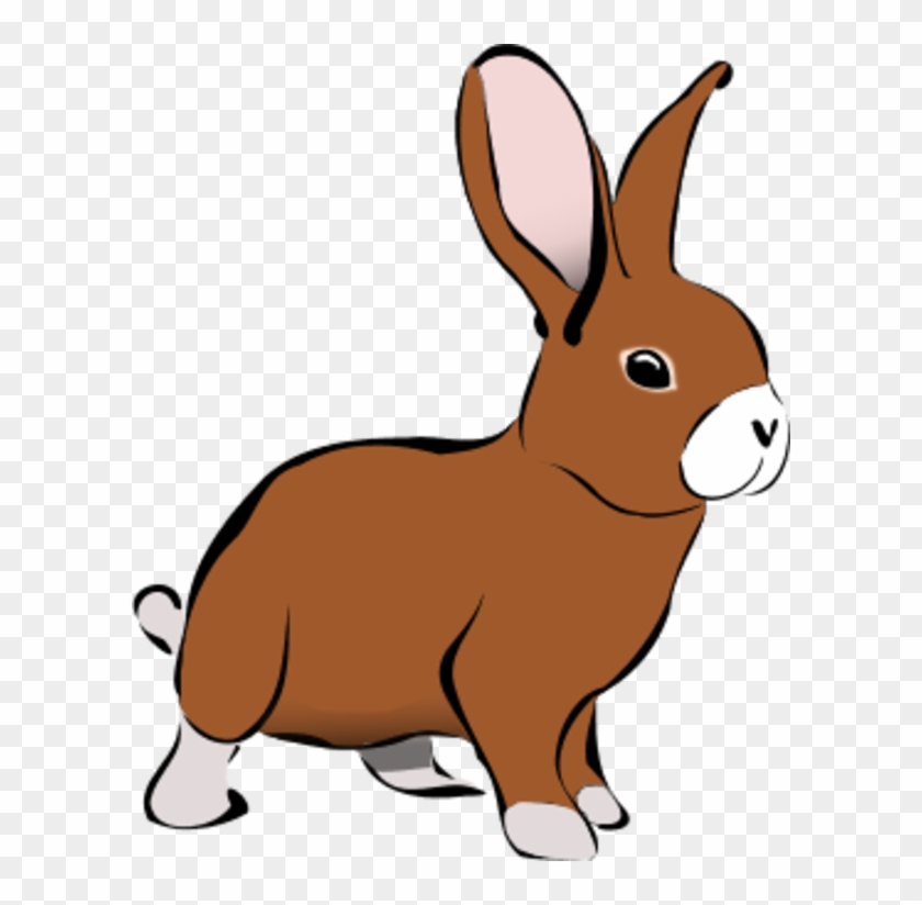 Rabbit Vector - Rabbit Clip Art #580246