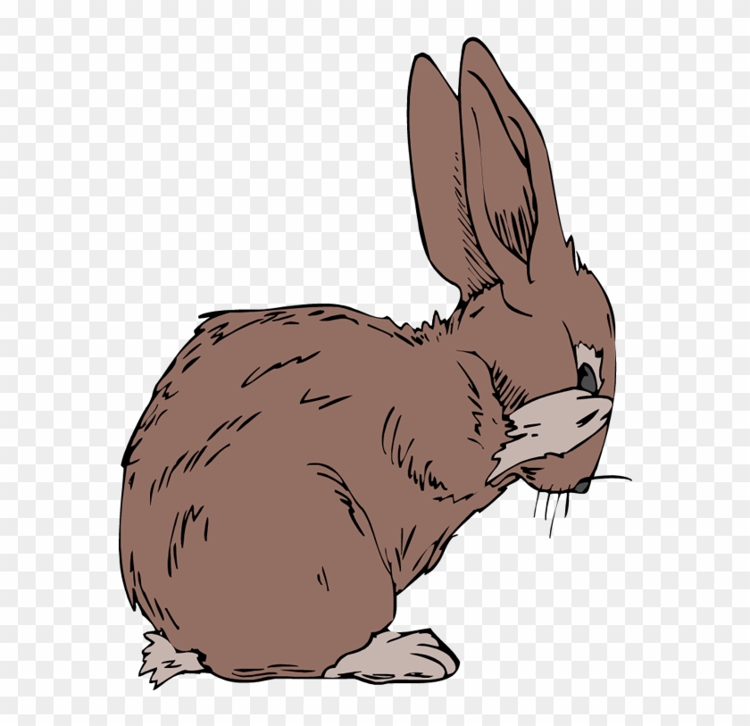 Jack Rabbit Clipart Wild Rabbit - Rabbit #580258