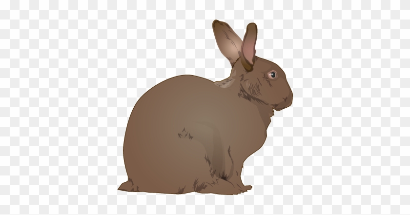 Rabbit Clipart Realistic - Rabbit Clip Art #580274
