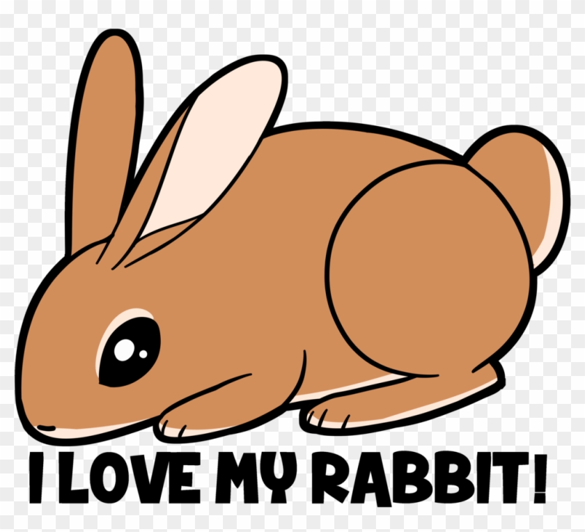 I Love My Rabbit By Draikinator - I Love My Rabbit By Draikinator #580308