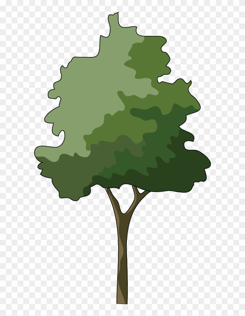 Branch Japanese Maple Tree Clip Art - Tree #580464