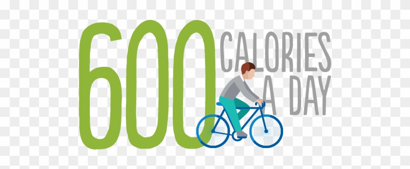 600 Calories A Day - Hybrid Bicycle #580534