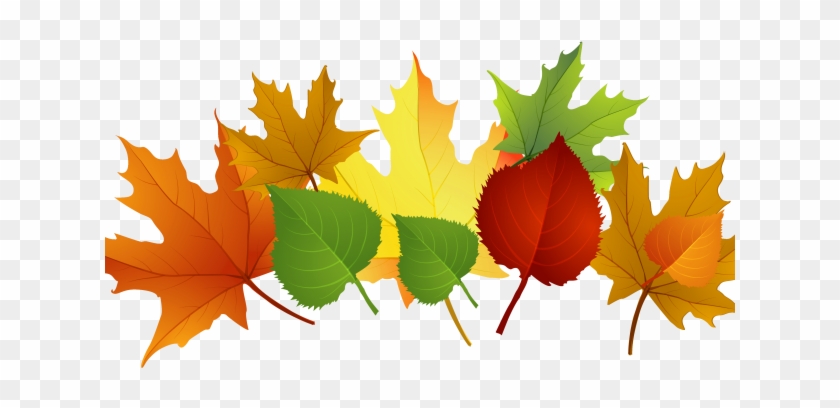 This Week The Children Continued To Explore The Season - Autumn Leaves Clip Art #580641