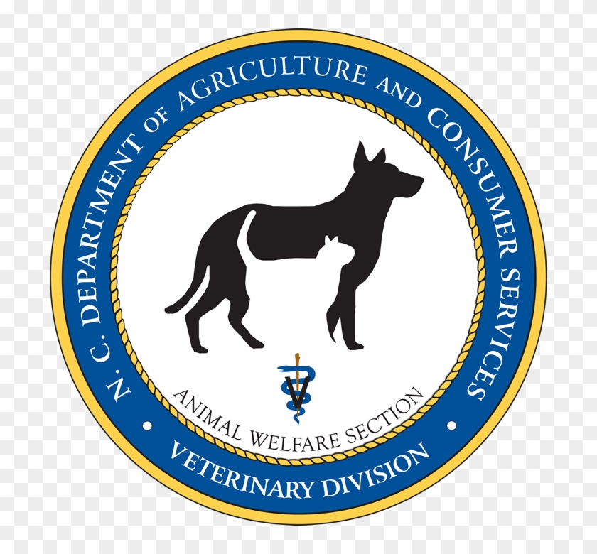 A - Greene County Humane Society #580674
