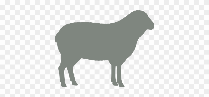 Shaun The Sheep Icon - Lamb On Spit Drawing #580696