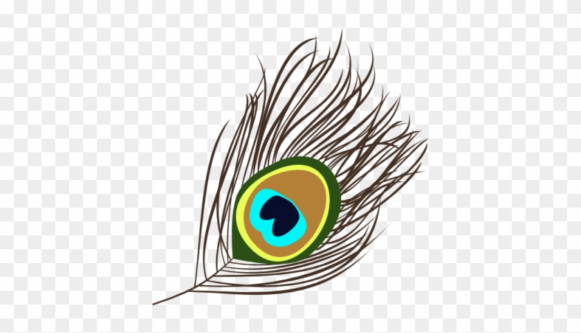 Peacock - Peacock Feather Vector Png #580981