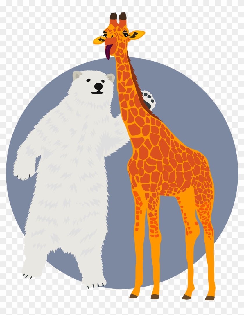 Polar Bear ♥ Giraffe - Giraffe #580985