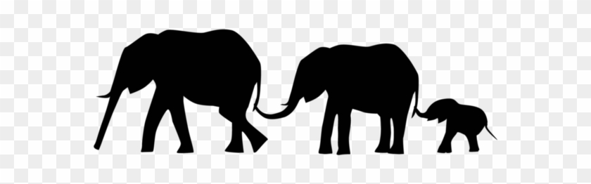 Bleed Area May Not Be Visible - 3 Elephants Holding Tails #581137