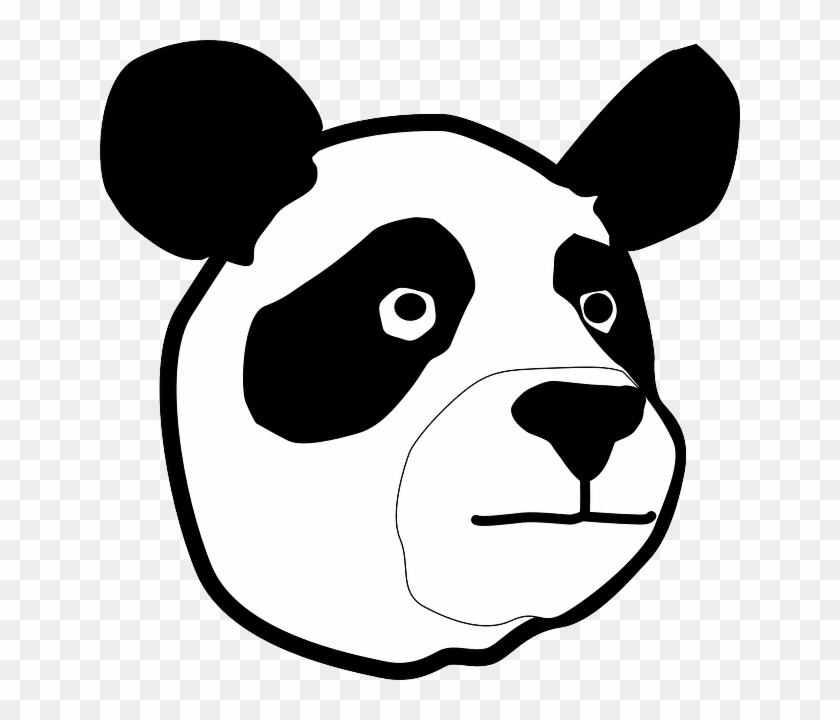 Face, Cartoon, Bear, Cute, Panda, Detail, Pandas - Panda Bear Head #581482