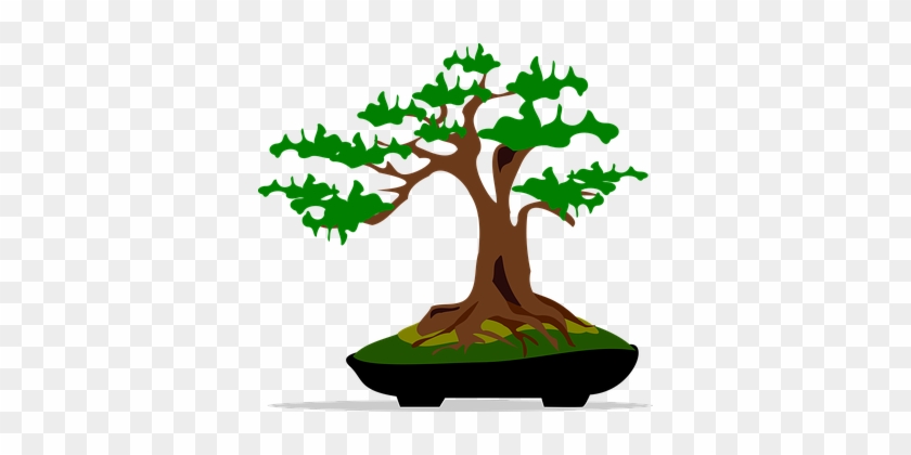 Bonsai, Clip Art, Flora, Nature, Plant - Bonsai Clip Art #581674