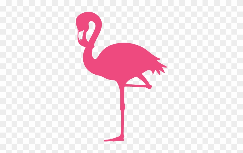 Laura James Studio >> Branding Photography Design - Flamingo Clipart No Background #581740