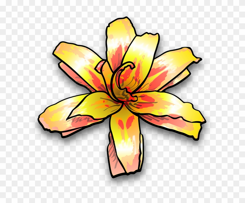 Plant Lily, Flower, Yellow, Painterly, Colour, Plant - Yellow Flower Clip Art #582384