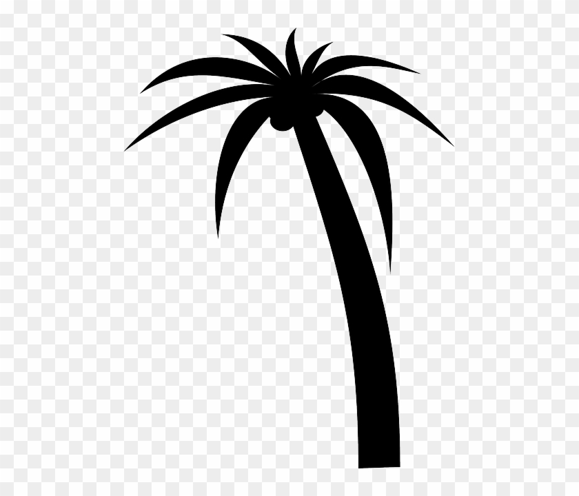 Silhouette Black, Icon, Simple, Outline, Drawing, Silhouette - Palm Tree Clip Art #582532