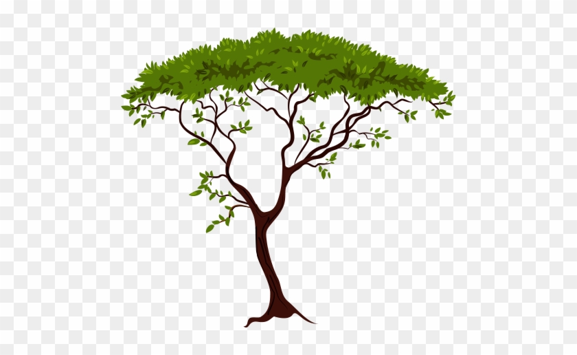 Sylhet Tree Festival Host - African Tree Silhouette #582563