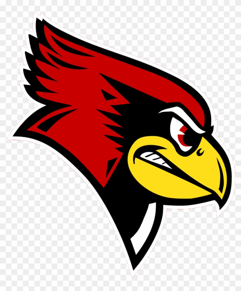 Team Orthopedic Surgeons For - Illinois State University Redbird #582755