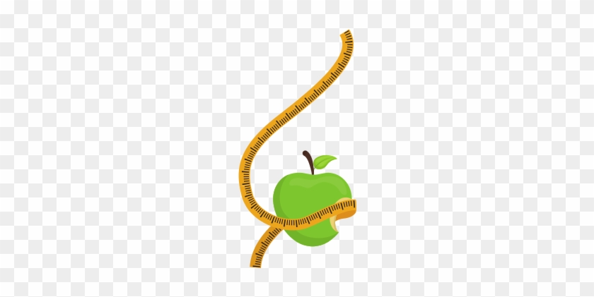 Apple With Ruler - Granny Smith #582768