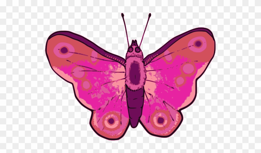 Free 1278212857 Free Caligo Teucer Free Butterfly - Vector Graphics #582827