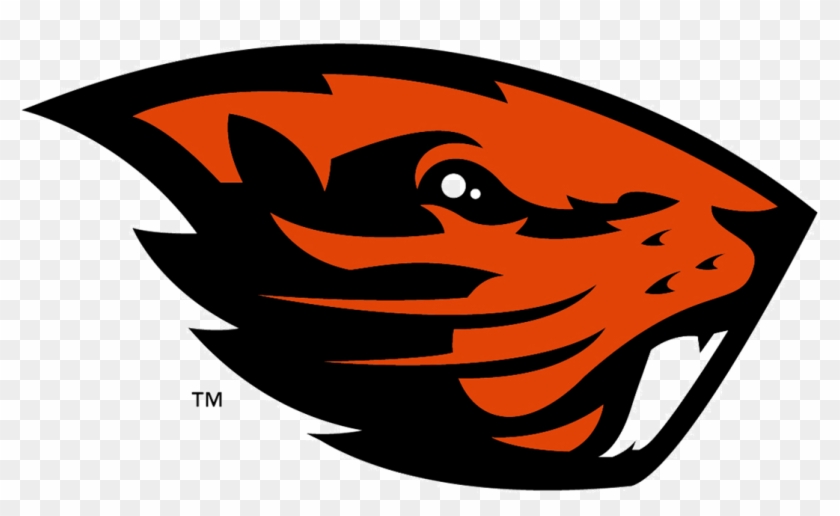 Over 45 Years Of Experience With Professional And Amateur - Oregon State Beaver Logo #583145