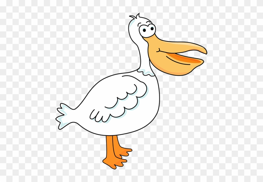 Cartoon Pelican Pictures - Pelican Cartoon Transparent Background #583355