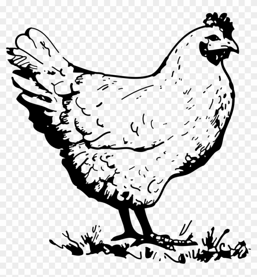Baby Chicks Clipart 20, - Chicken Black And White #583878