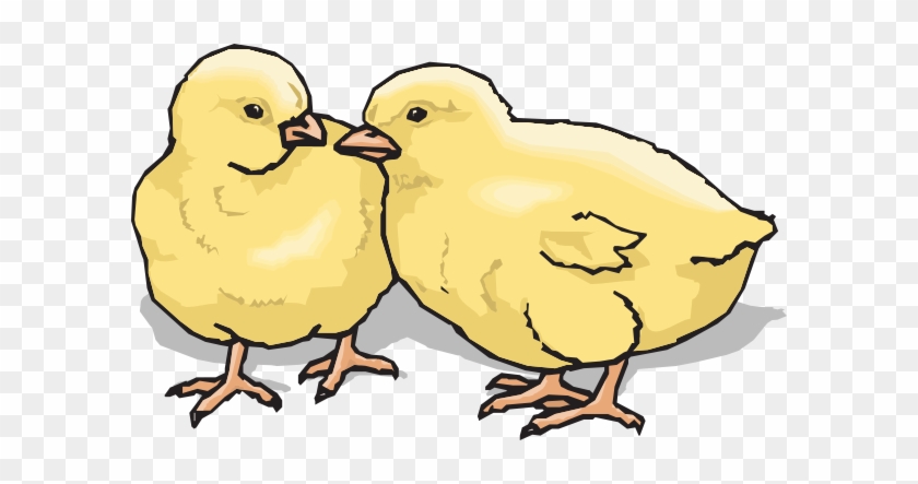Chicks Clipart - Don't Mess With Texas #583907