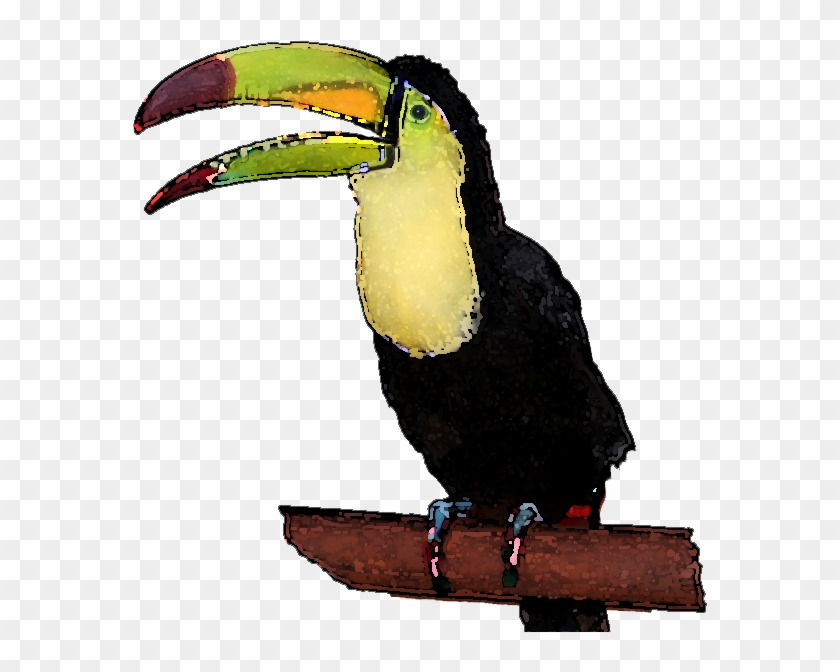 Toucan Clipart Face - Toucan #583915