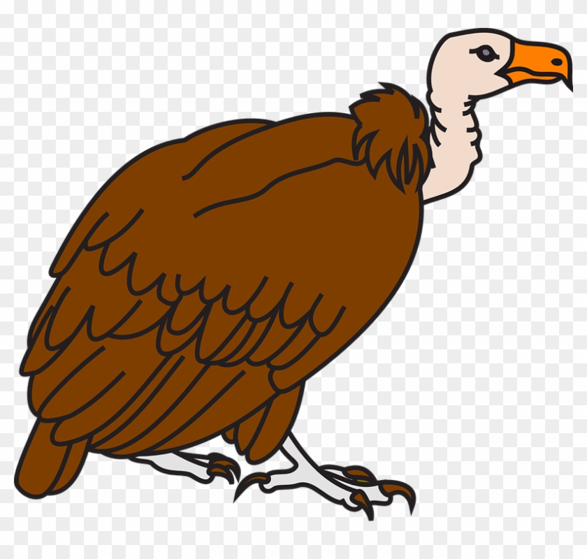 Vulture Bird Clipart - Animated Images Of Vulture #583930