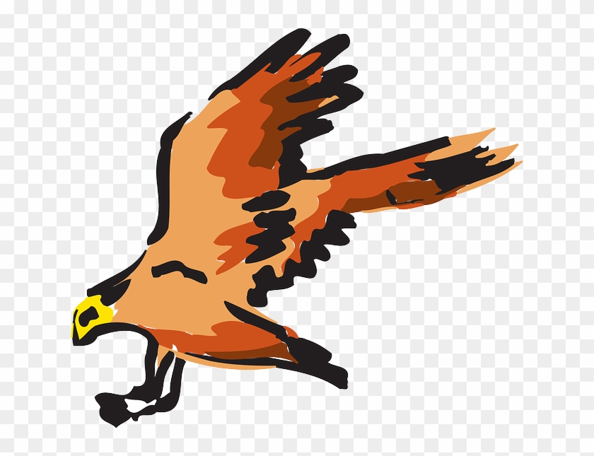 Orange, Bird, Flying, Wings, Art, Animal, Feathers - Red Falcon Vector Fly #583936