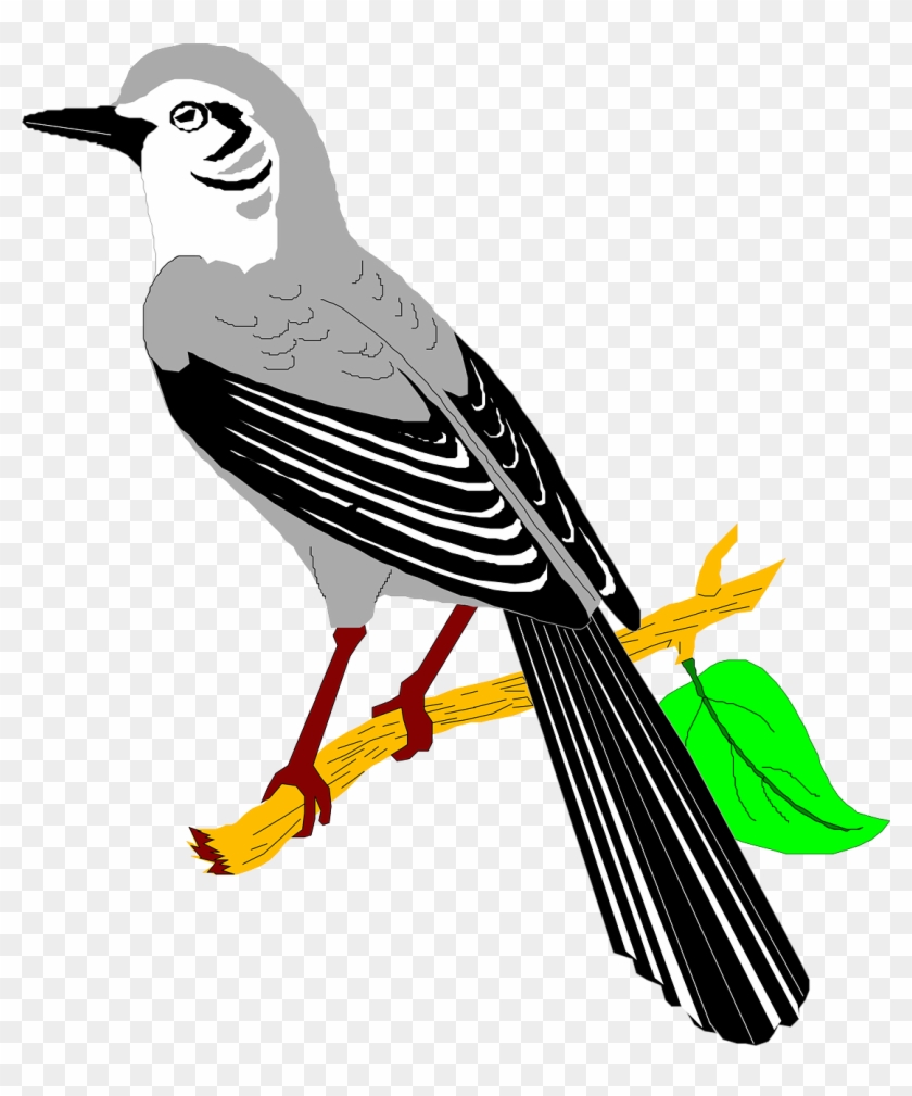 Illustration Of A Mocking Bird - Mockingbird Clipart Transparent Background #583940