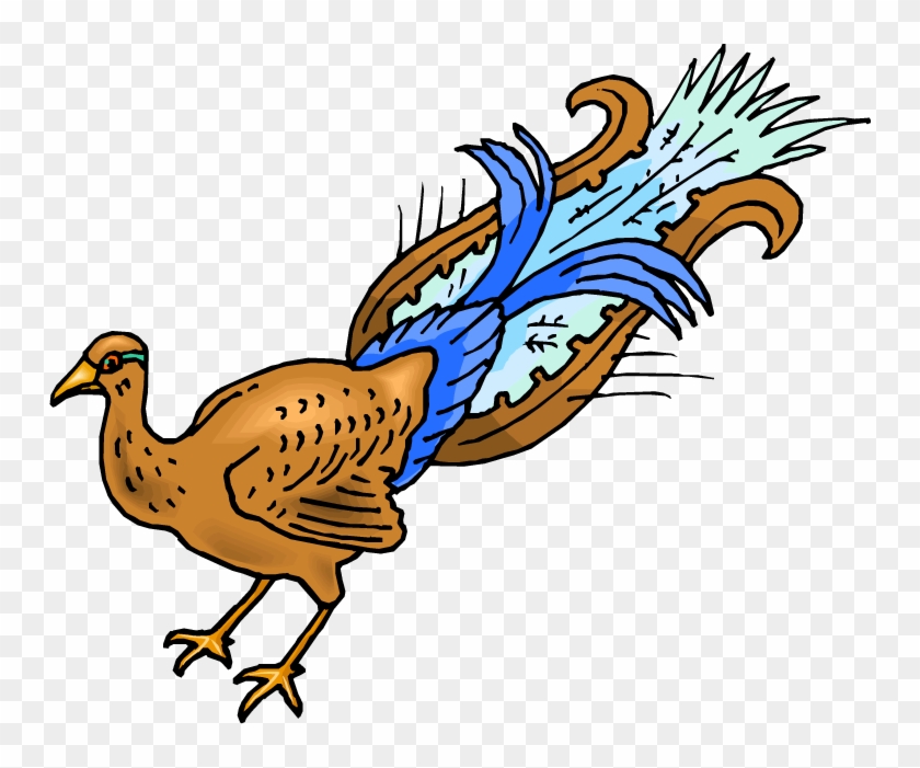 Pretty Peacock - Art #584086