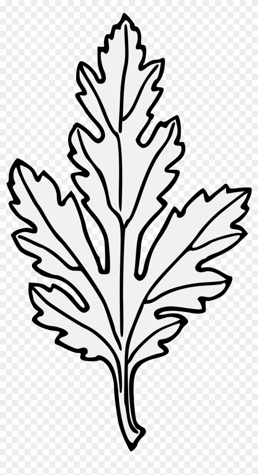 Chrysanthemum Leaf - Line Art #584117