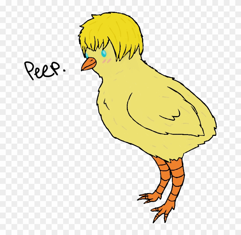 Phoenixthephoenix Baby Chicken, So Holy And Tender - Cartoon - Free Transparent PNG Clipart Images Download Phoenixthephoenix Baby Chicken, So Holy And Tender - Cartoon - Free Transparent PNG Clipart Images Download
