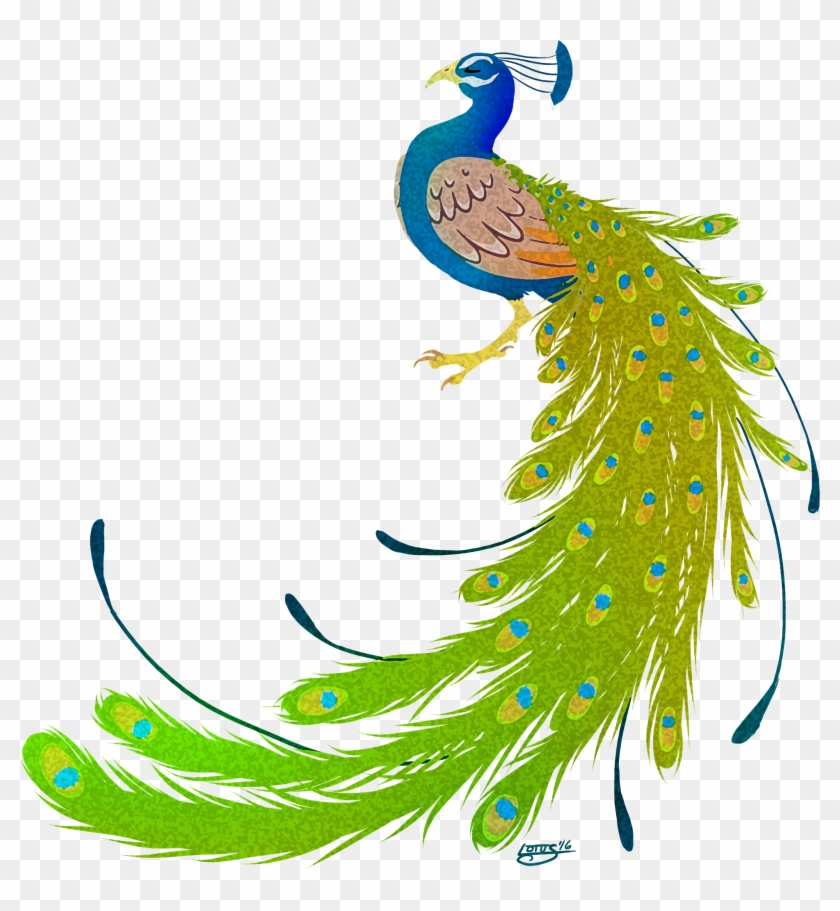 Root « Older Peacock July Swap - Peacock Images Hd Png #584173