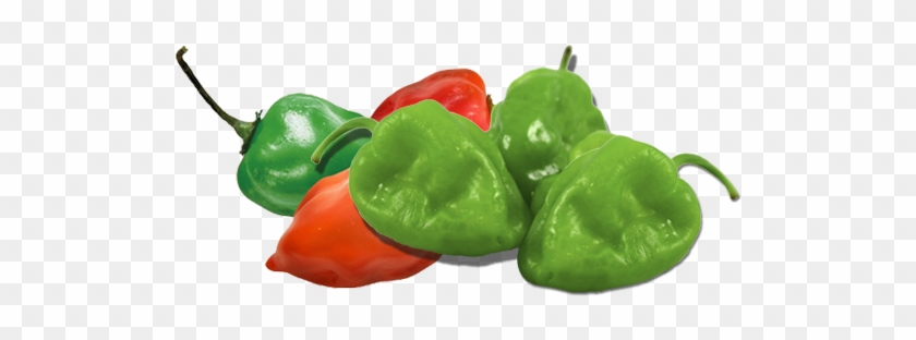 Delight The Palate Of Your Customers Including Your - Habanero Chili #584256