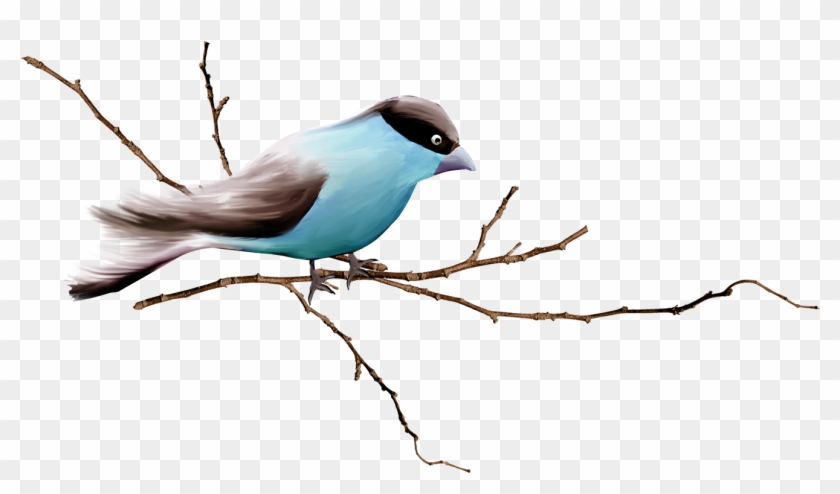 卡通手绘树枝鸟 - Bird On Branch Png #584500