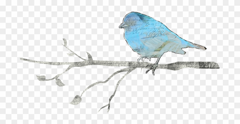 Птицы - Птицы - Mountain Bluebird #584504