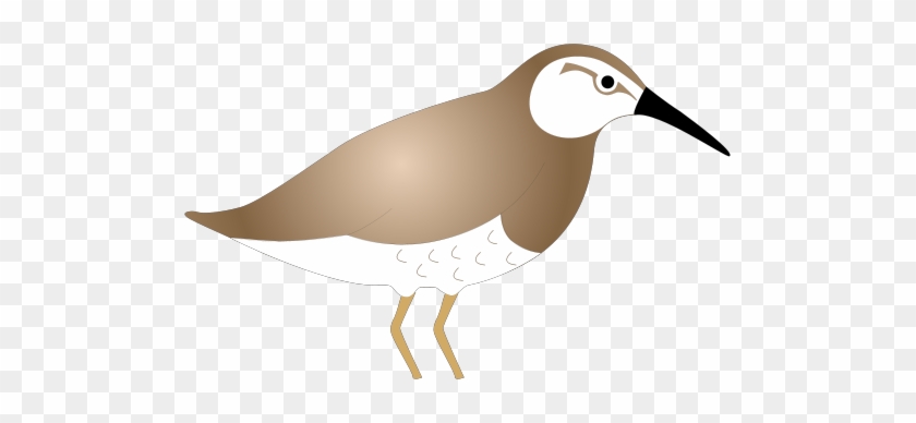Sandpiper Svg - Pigeons And Doves #584589