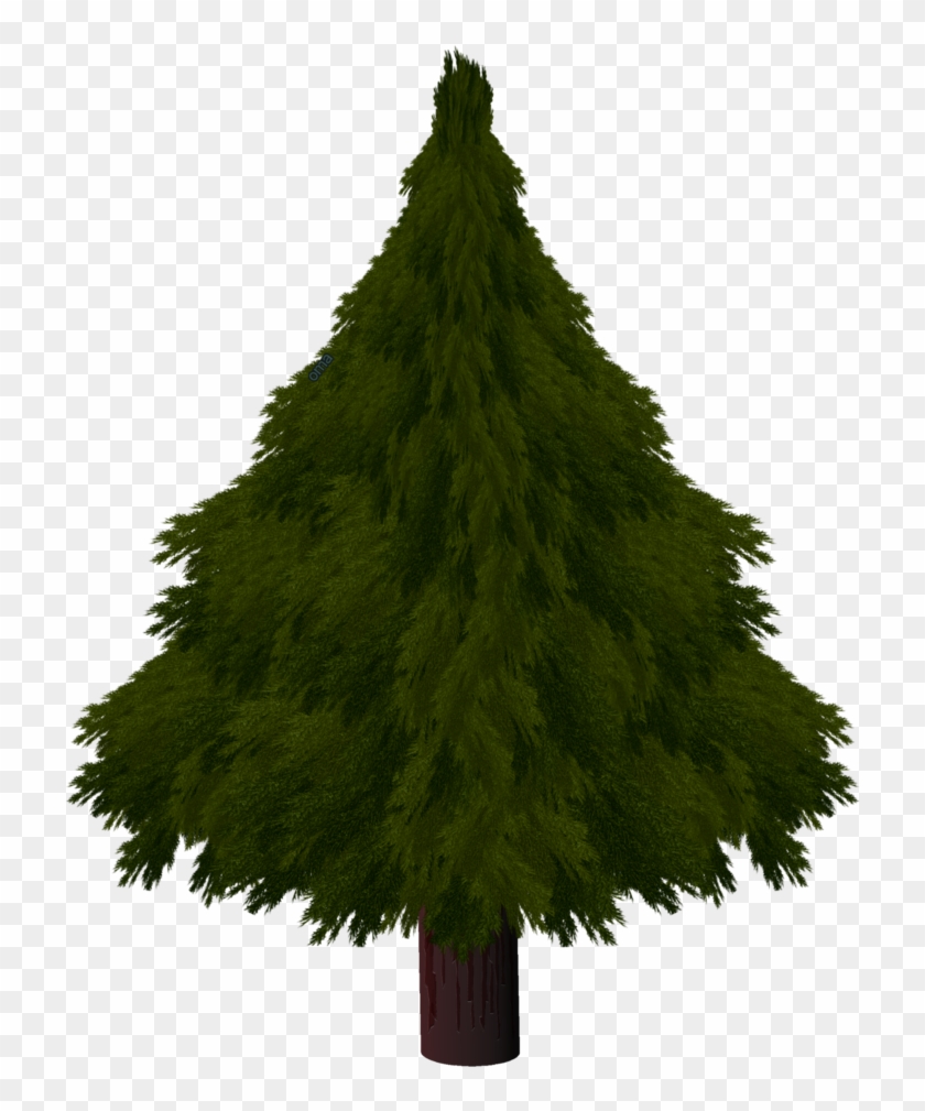 Realistic Christmas Tree Drawings - Christmas Tree #584673