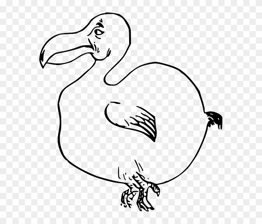 Animal Outline, Cartoon, Birds, Bird, Fat, Draw, Animal - Easy Extinct Animals To Draw #584681