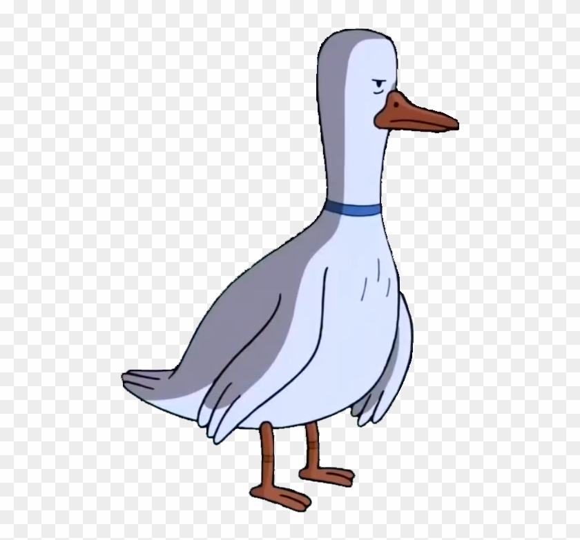Mr - Goose - Pato Hora De Aventura #584693