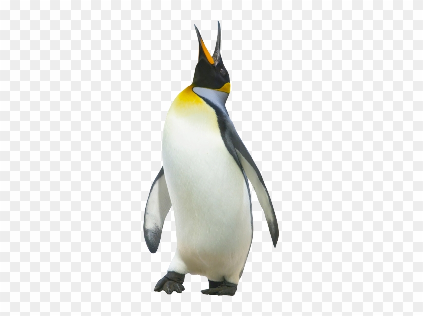 I'm - Penguin White Background #584747