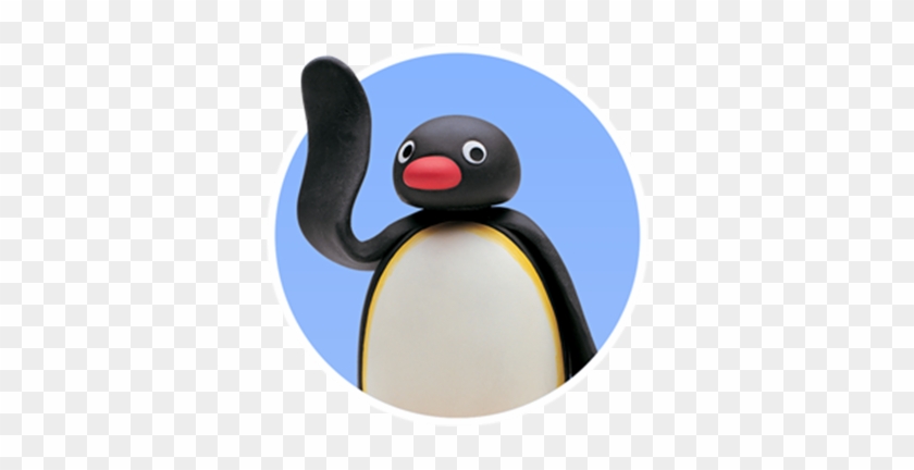 Five Noots At Pingu's