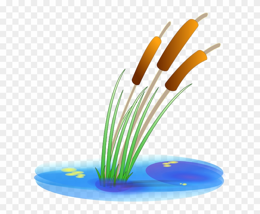 Download Scalable Vector Graphics Clip Art - Pond Plant Clipart #584962