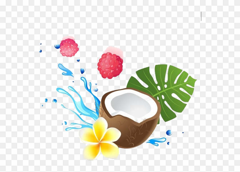 Coconut Milk Coconut Water Coconut Oil Health - Fruits And Water Cartoon #585024