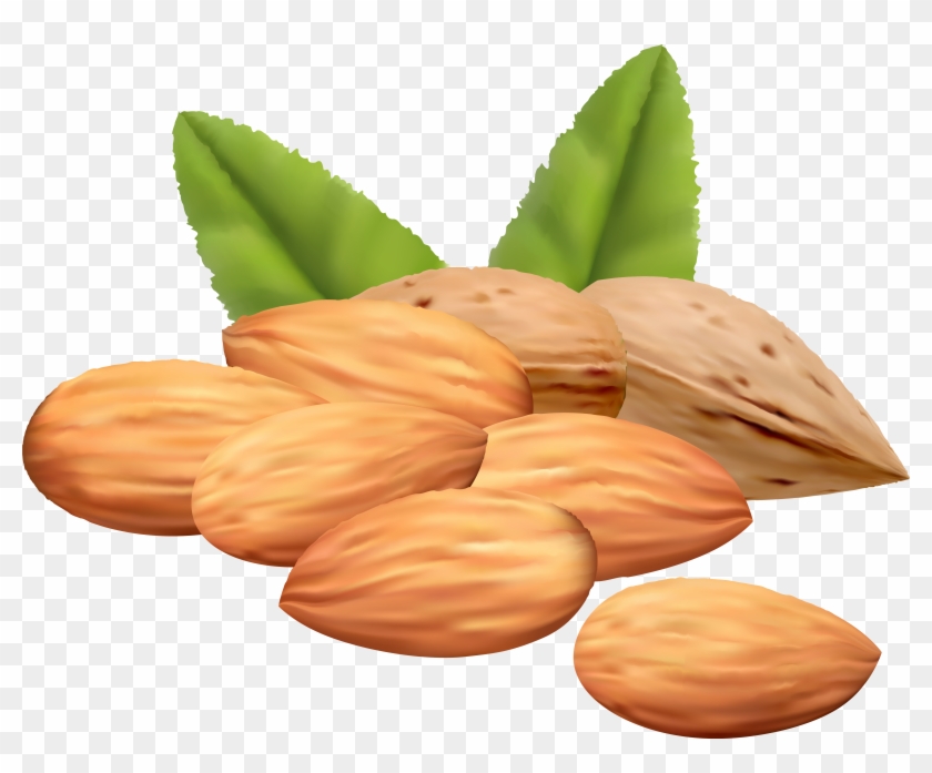 Almond Nuts Png Clipart Image - Nuts And Their Names #585218